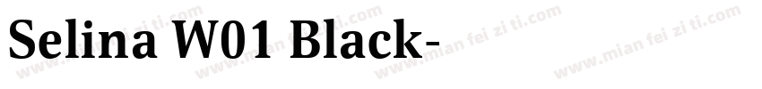 Selina W01 Black字体转换